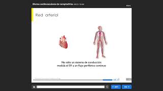 041 Efectos Cardiovasculares de Norepinefrina [upl. by Ylrebmek]