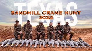 Texas SANDHILL CRANE Hunt  2022 [upl. by Solley]