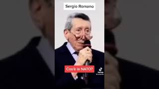 la NATO spiegata in parole semplici [upl. by Oisacin220]