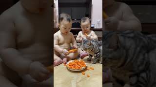 Babies and cats eat carrots together [upl. by Pennington754]