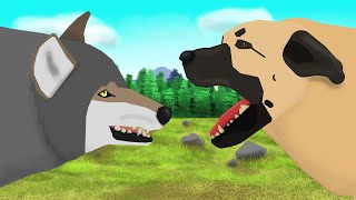 Kangal VS Grey Wolf  Animal Fight Animation  Pivot Animator [upl. by Rehpotsirk]