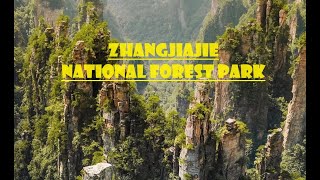 Chinas Hidden Gem Zhangjiajie National forest Park  Exploring AVATAR movie mountains in China [upl. by Werda860]