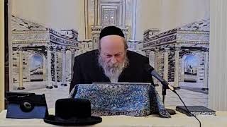 Preparing Ourselves For Yom Kippur  Rabbi Moshe Weinberger Tishrei 5785 [upl. by Hulda]