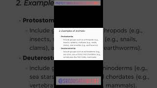 Msc zoology difference between protostomia and dueterostomia sreducation2307 [upl. by Quillon896]