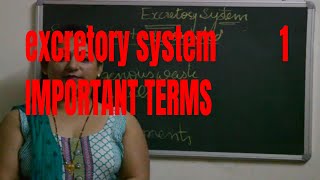 Excretory system class 10 ICSE CBSE Nitrogenous waste to excreted out from body [upl. by Burny]