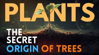 The Secret Science of  THE TRESS  HINDI DOCUMENTARY How They Talks To Each Othernatgeoindia [upl. by Airdnoed]