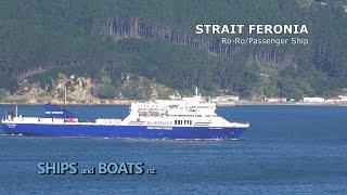 Strait Feronia  Ro Ro Passenger Ship  Wellington New Zealand [upl. by Alicirp]