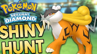 🔴 20K RESETS Shiny Hunting RAIKOU Pokemon Brilliant Diamond [upl. by Immot]