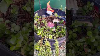 Fall gnome garden 🪴 fall decoration ￼￼￼ [upl. by Thapa]