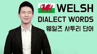 Welsh Dialect Words Korean Billy [upl. by Skvorak]