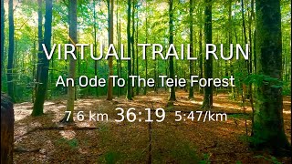 Virtual Trail Run  Teie Forest  Nøtterøy  Norway  Autumn  Brilliant Shunshine  Treadmill [upl. by Marola738]