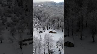 Hyrcanian Forest In Winter  Snowy Jungle  Savadkooh  Mazandaran  IRAN hyrcanian forest [upl. by Leor150]