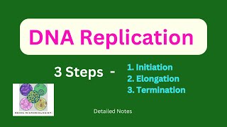 DNA ReplicationInitiationElongationTerminationProkaryotesEukaryotesSemiconservativeTelomerase [upl. by Fredenburg432]