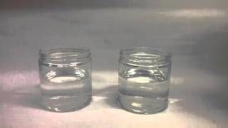 Hydrophilic and hydrophobic interactions [upl. by Ainel]