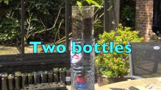 HOW TO GROW PLANTS IN BOTTLES [upl. by Ecirp]