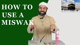 How to Use a Miswak [upl. by Atirb]