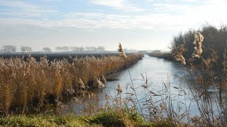 Weerbericht voor vrijdagmiddag Ook morgen meest droog [upl. by Elfrida]