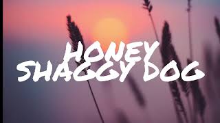 Shaggydog  Honey Video Lirik [upl. by Refinne]