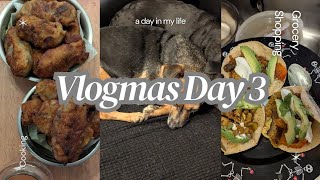 Vlogmas Day 3  Cooking  Daily Vlog  Grocery Shopping [upl. by Inacana]