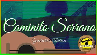 CAMINITO SERRANO Los Destellos  Afrosound GUITARRA🎸 [upl. by Binnie]