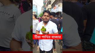 টিয়া পাখির বাজার  Tiya Pakhi  টিয়া পাখি  Pakhi  Pakhir Hat  পাখি  Mirpur 1 Pakhir Hat shorts [upl. by Enar]