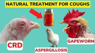 NATURAL ORGANIC TREAT For ALL COUGHS amp Respiratory Illnesses IN CHICKEN CRDAspergillosisGapeWorm [upl. by Tavie]