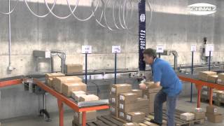 Vacuum Tube Lifter JumboFlex for Ergonomic Commissioning of Cardboard Boxes  25 kg  Schmalz [upl. by Werda189]