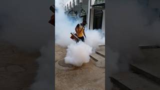 Amazing Mosquito Killing using smoke  Mosquito Fogging Machine [upl. by Llenor]