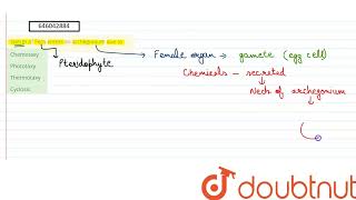 Sperm of Fern enters an archegonium due to  12  KINGDOM PLANTAE OR METAPHYTA  BIOLOGY  DIN [upl. by Endys]