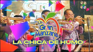 Marimba Orquesta La Gran Manzana 2021  Mix Cumbia de Siempre [upl. by Chill]