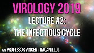 Virology Lectures 2019 2 The Infectious Cycle [upl. by Tana]