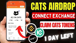 🚨Cats Airdrop Eligibility SOLVED Connect Bitget Wallet NOW 💥 [upl. by Range]