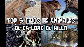 top 5 tipos de animales de la edad de hielo MRTOOX [upl. by Lasky960]