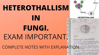 HETEROTHALLISM IN FUNGIFull explanation with notesbscbotany [upl. by Ennayrb137]