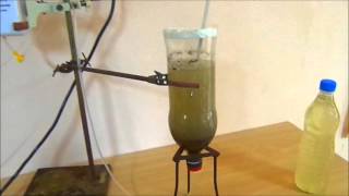 Air lift  fluidized bed bioreactor for waste water treatment using marine sponges as adsorbent [upl. by Yluj]