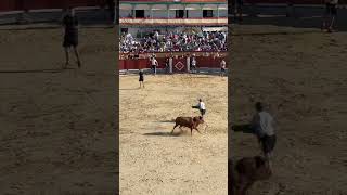 Watching bullfights from the balcony [upl. by Fiertz]