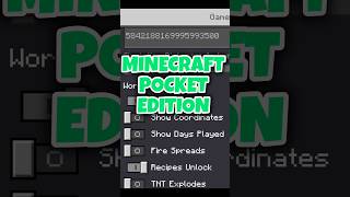 Best settings for Minecraft pocket edition 👍🏻minecraft minecraftshorts minecrafttipsandtricks [upl. by Hoffarth]