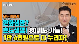 ⭐80세도 1만원대 가입 SAPP 가능 효도생명 당장 들어야지⭐ 한화 한화생명 [upl. by Sennahoj]