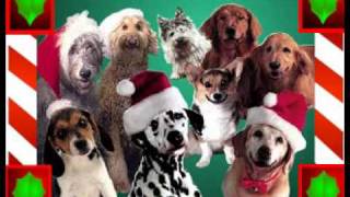 Zingende Honden  Jingle Bellsflv 24 kerst 142 [upl. by Ila]