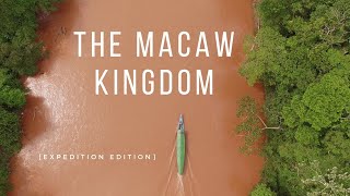 The Macaw Kingdom  Documentary Expedition Edition HD [upl. by Ahsinelg]