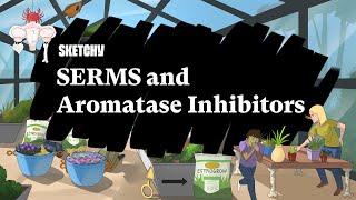 SERMs amp Aromatase Inhibitors in Cancer Treatment Part 1  Sketchy Medical  USMLE Step 1 [upl. by Ricky]