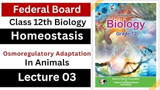 osmoregulatory adaptations in animals  homeostasis  class 12th biology Federal board [upl. by Floro]