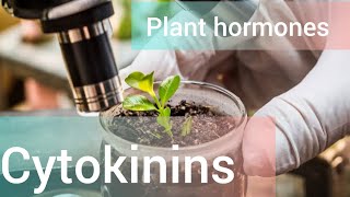 Cytokinins plant growth hormone [upl. by Adihsaar]