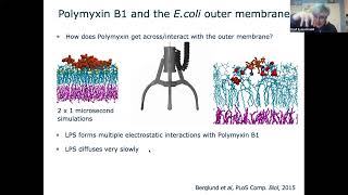 Computational microbiology of the E coli cell envelope  Syma Khalid University of Southampton [upl. by Dianthe]