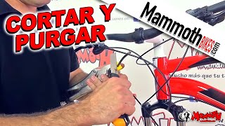 ⚠️⚙️LA VERDAD SOBRE LOS FRENOS DE DISCO HA SIDO REVELADA 🚲 SALUD CICLISTA [upl. by Rosalia408]