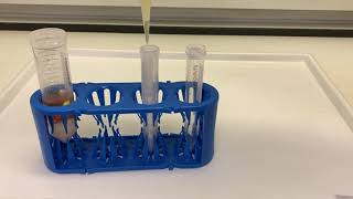 Quick protocols QuEChERS extraction with Thermo Scientific HyperSep Dispersive SPE Cleanup Tubes [upl. by Geneva]