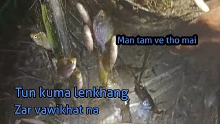 Lenkhang zar hlimawm leh hmuhnawm lutuk [upl. by Tsenre]