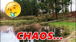 STURMSCHÄDEN  Bäume umgekippt  Fischteich Vlog [upl. by Kcirej]