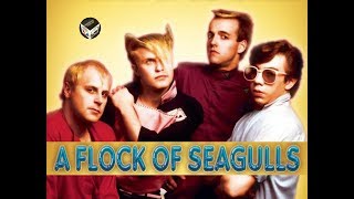 Top 20 Songs of A Flock of Seagulls [upl. by Marsh]