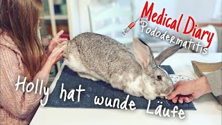 Holly hat wunde Läufe  Medical Diary [upl. by Gnaw]